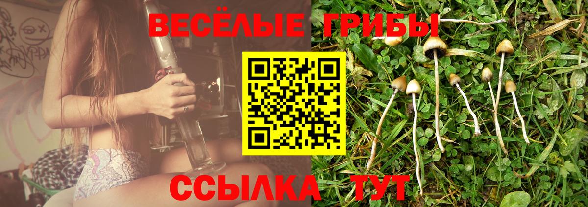 Галлюциногенные грибы мухоморы Балтийск