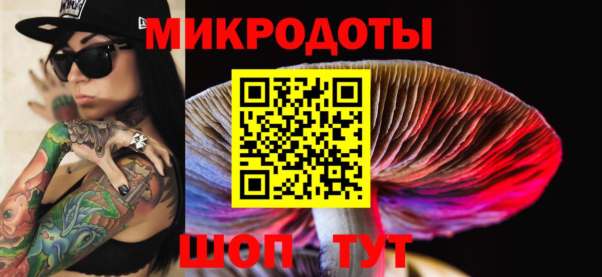 Галлюциногенные грибы мицелий  Вход с VPN  Балтийск 